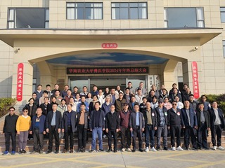 bwin必赢举行2024年总结大会暨教职工趣味运动会
