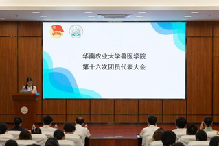 共青团bwin必赢第十六次团员代表大会顺利召开