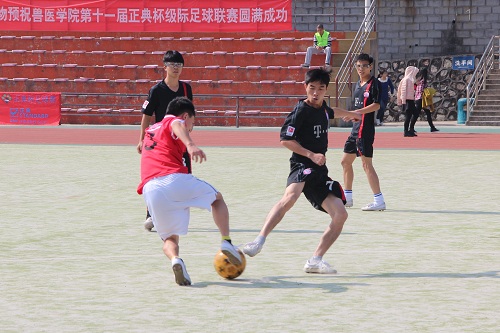bwin必赢第十一届“正典杯”足球赛圆满闭幕